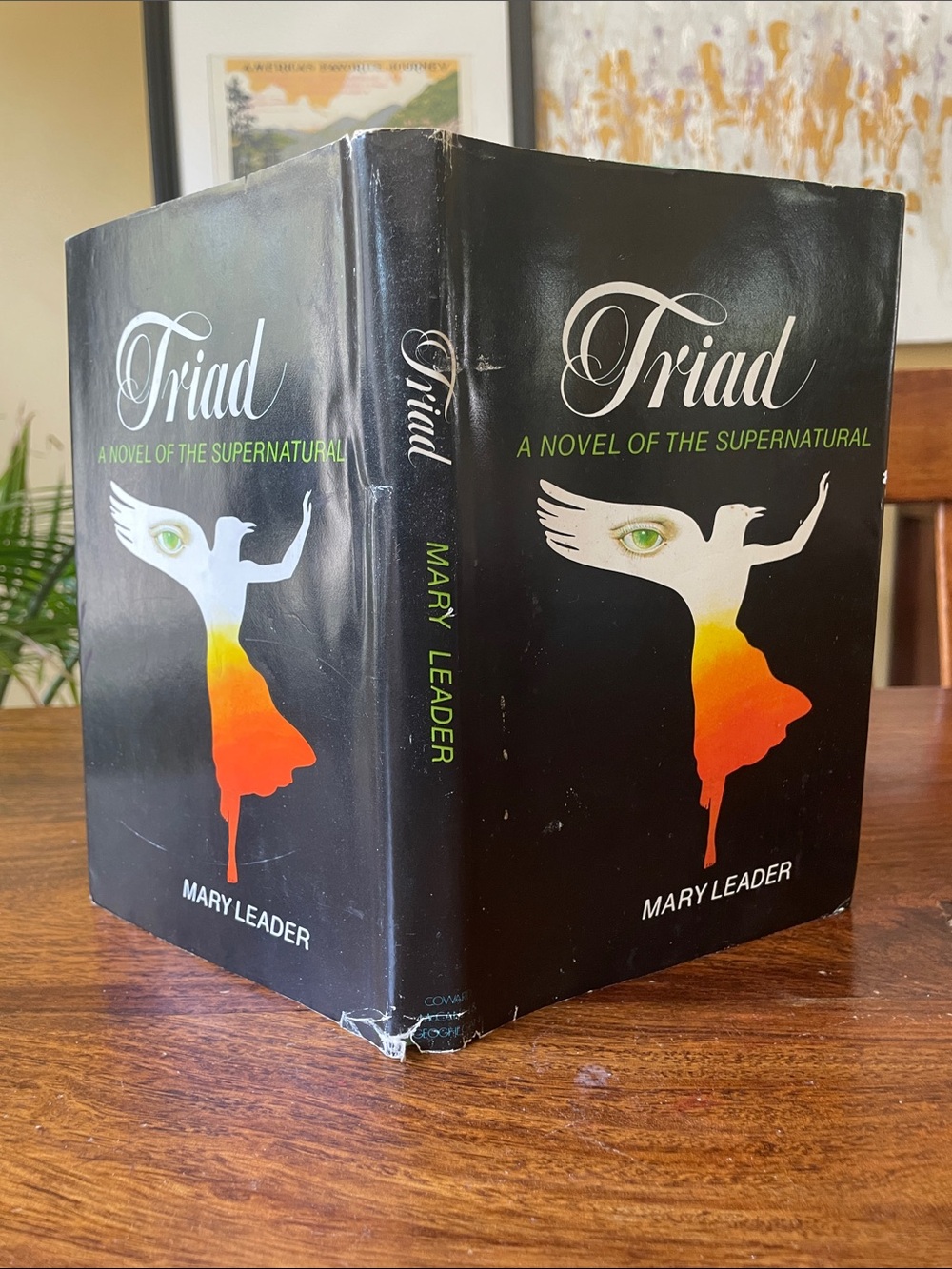 TRIAD A Novel of the Supernatural by Mary Leader Vintage Hardcover Book + Jacket